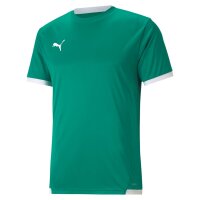 Puma teamLiga Trikot Jersey