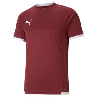 Puma teamLiga Trikot Jersey