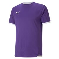 Puma teamLiga Trikot Jersey