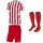 Nike Striped Division IV Trikotsatz