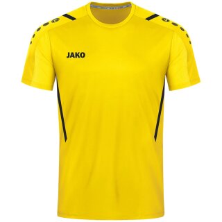 citro/schwarz