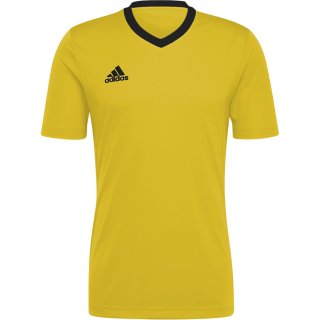 team yellow/black