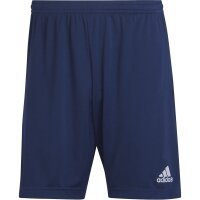 adidas Entrada 22 Training Short