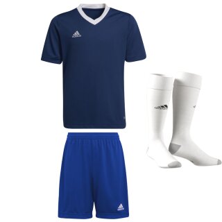 team navy - royal - white