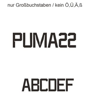 Puma22