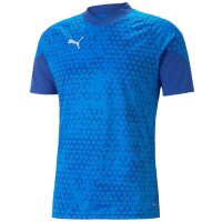 Puma teamCup 23 Training Jersey