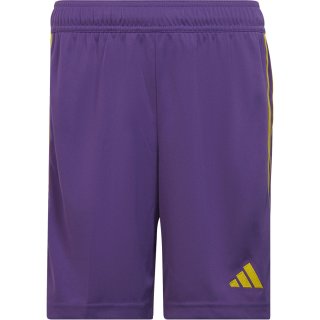 active purple/team yellow