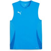 Puma teamGoal 24 SL Training Jersey