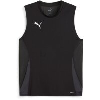 Puma teamGoal 24 SL Training Jersey