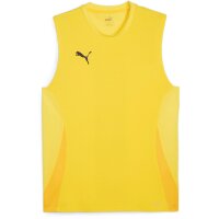 Puma teamGoal 24 SL Training Jersey