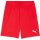 Puma teamGoal 24 Shorts