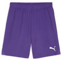 Puma teamGoal 24 Shorts