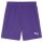 Puma teamGoal 24 Shorts