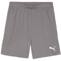 Puma teamGoal 24 Shorts