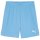 Puma teamGoal 24 Shorts