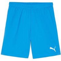 Puma teamGoal 24 Shorts