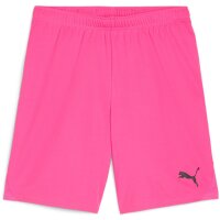 Puma teamGoal 24 Shorts