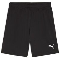 Puma teamGoal 24 Shorts