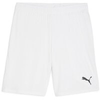 Puma teamGoal 24 Shorts