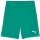 Puma teamGoal 24 Shorts