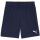 Puma teamGoal 24 Shorts