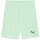 Puma teamGoal 24 Shorts