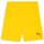 Puma teamGoal 24 Shorts