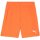 Puma teamGoal 24 Shorts