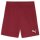 Puma teamGoal 24 Shorts