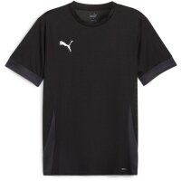 Puma teamGoal 24 Matchday Trikot Jersey