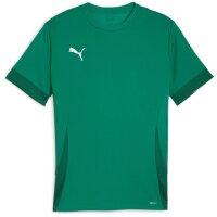 Puma teamGoal 24 Matchday Trikot Jersey