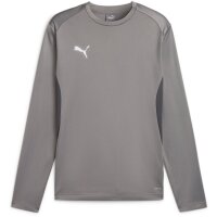 Puma teamGoal 24 Training Sweat