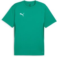 Puma teamGoal 24 Jersey