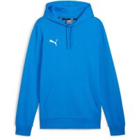 Puma teamGoal 24 Casuals Hoody