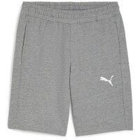 Puma teamGoal 24 Casuals Shorts