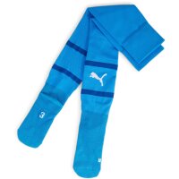 Puma teamFinal 24 Socks Strumpfstutzen