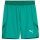 Puma teamFinal 24 Shorts