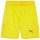 Puma teamFinal 24 Shorts