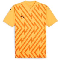 Puma teamGlory 24 Trikot Jersey