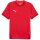 Puma teamFinal 24 Trikot Jersey