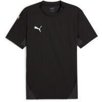 Puma teamFinal 24 Trikot Jersey