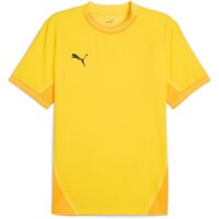 Puma teamFinal 24 Trikot Jersey