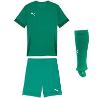Puma teamGoal 24 Matchday Kinder Trikotsatz