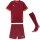 Puma teamGoal 24 Matchday Trikotsatz