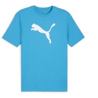 Puma teamRise Logo Jersey Cotton