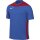 Nike Park Derby IV Trikot Jersey