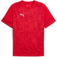 Puma teamCup 25 Training Jersey