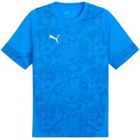 Puma teamCup 25 Training Jersey