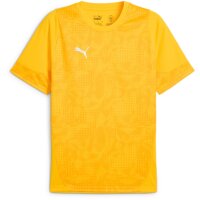 Puma teamCup 25 Training Jersey