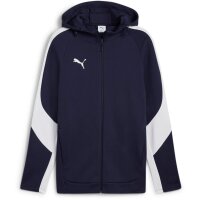 Puma teamEvostripe Hooded Jacket